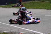 20110501_ales_agnus (3244)